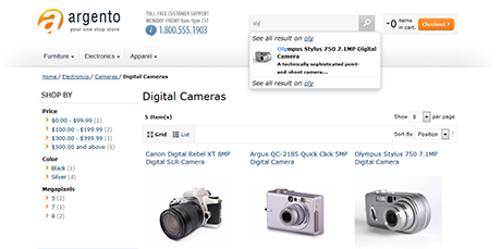 Magento ajax search